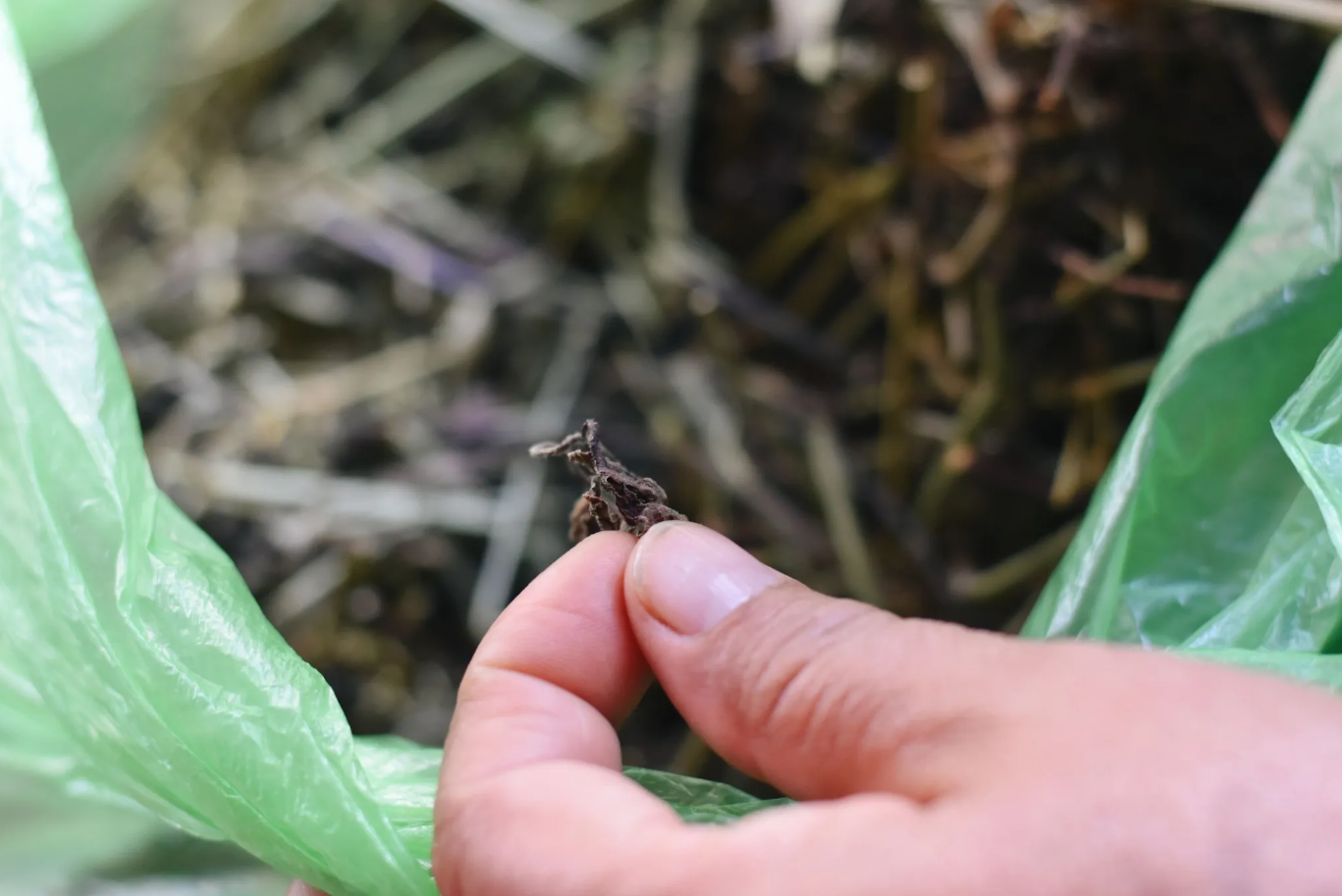  Fotografía: Celeste Mayorga 